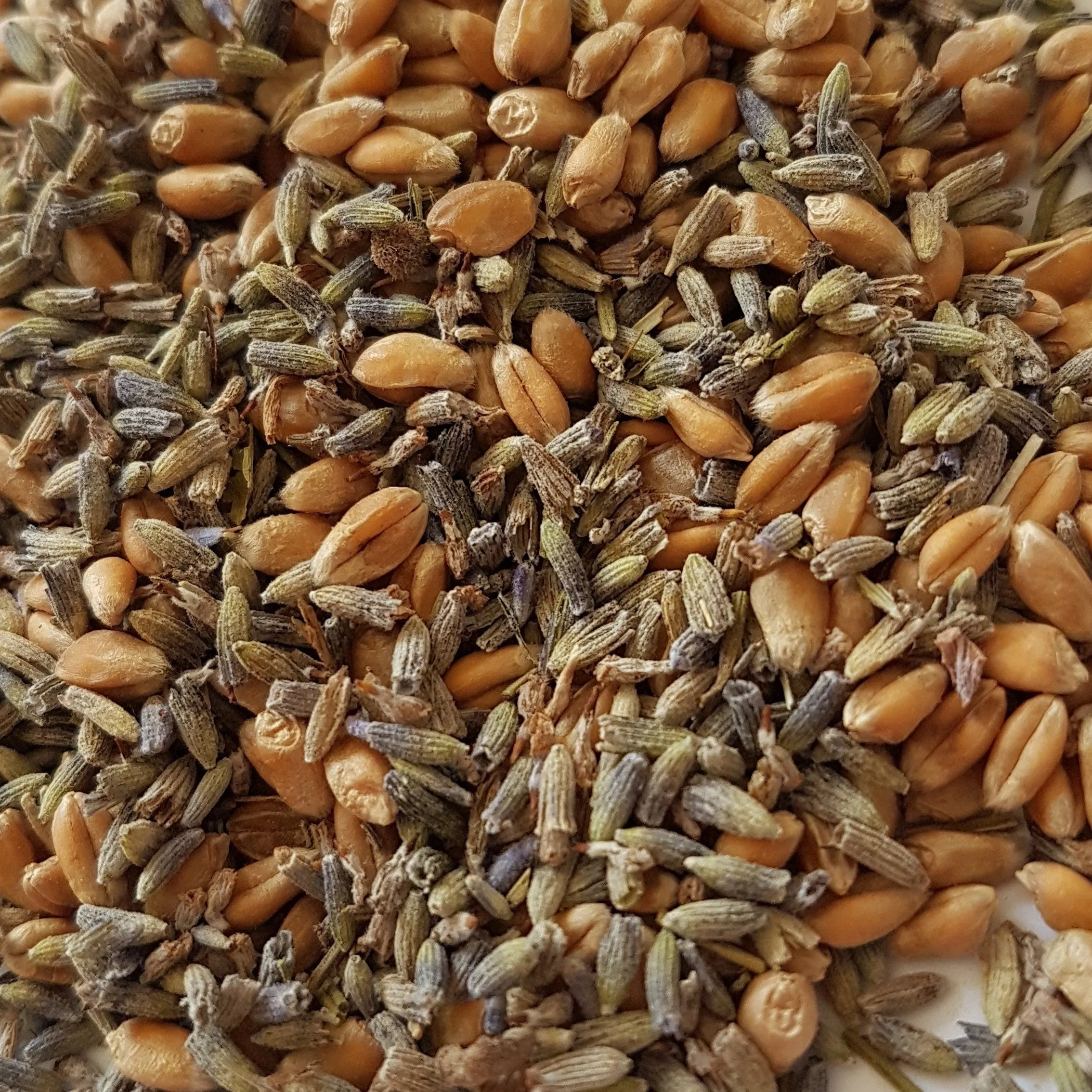 Aromatherapy heat pack wheat bag with English lavender. Reheat-able pad for natural wellness and wellbeing