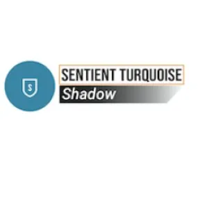 Sentient Turquoise - Two Thin Coats
